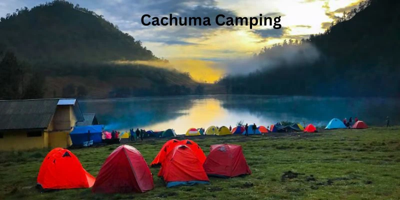 Activities and Attractions at Cachuma Camping
