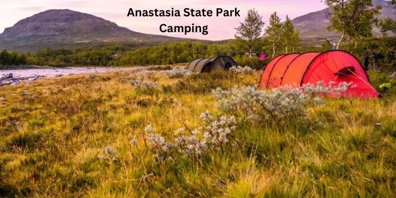Activities to Enjoy at Camping Anastasia State Park