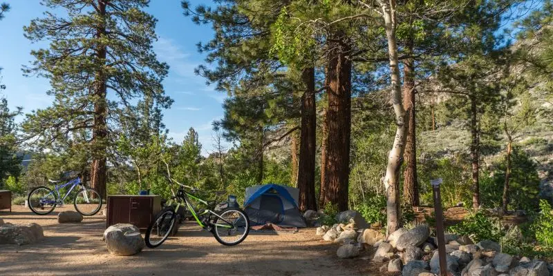 Forks Free Campgrounds
